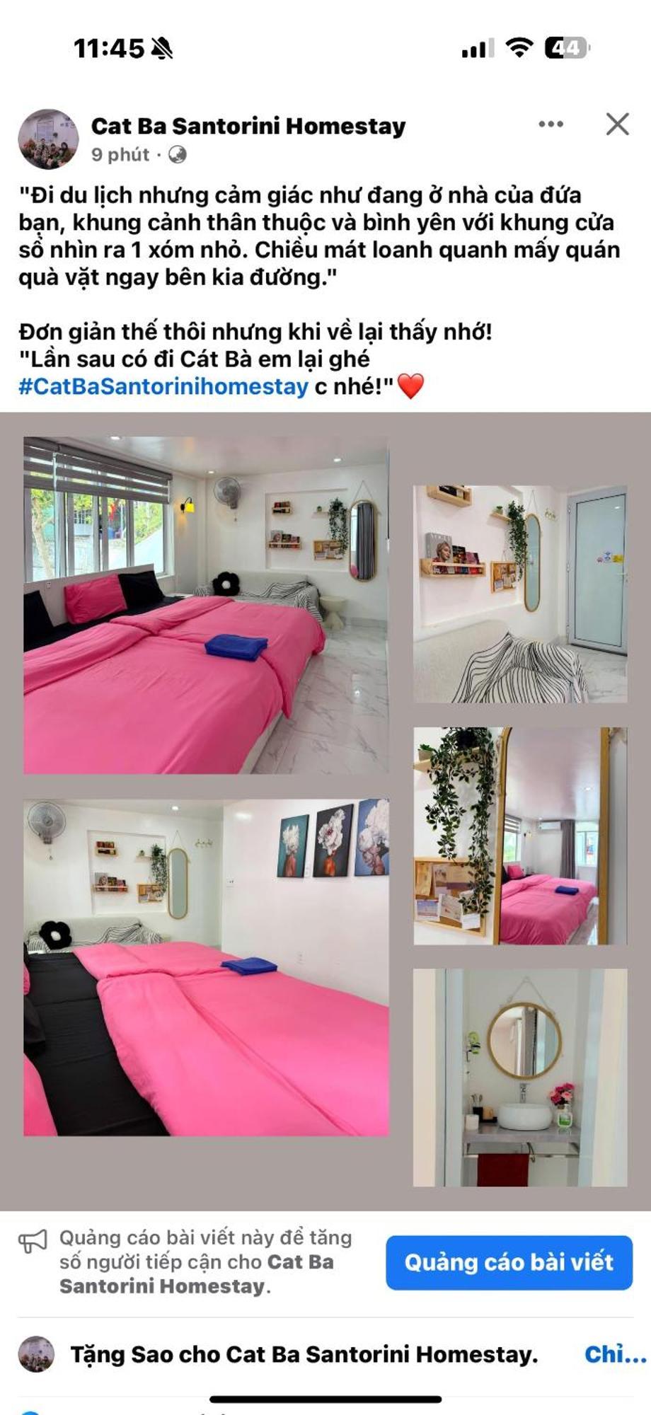 Cat Ba Santorini Проживание в семье *